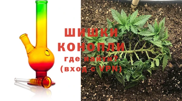 дурь Арсеньев