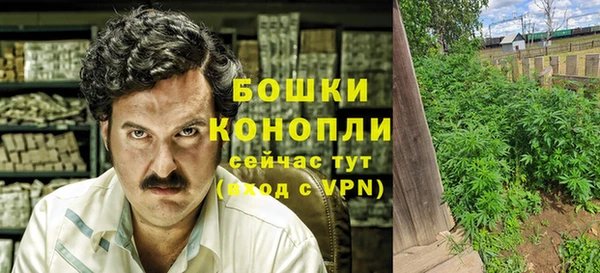 ПСИЛОЦИБИНОВЫЕ ГРИБЫ Аркадак