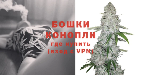 дурь Арсеньев