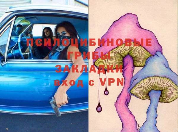 дурь Арсеньев