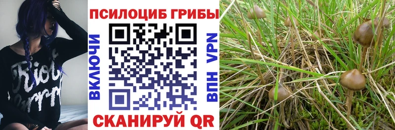 Галлюциногенные грибы Cubensis  закладки  Унеча 